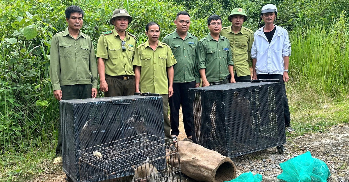 Thả 6 loài động vật hoang dã về rừng Chư Yang Sin