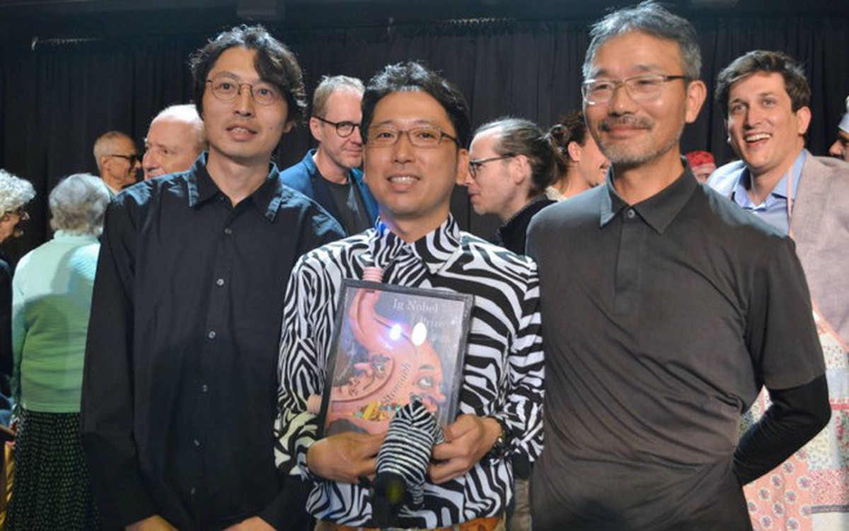 Sơn bò thành ngựa vằn, các nhà khoa học Nhật Bản đoạt giải Ig Nobel