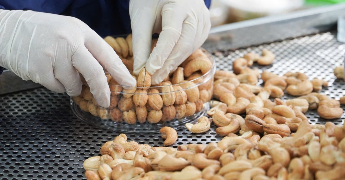 Phát triển bền vững từ 'Sinh kế dưới tán điều'