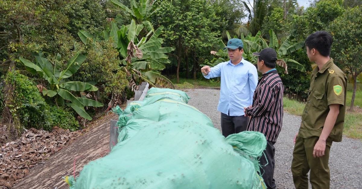 Đổ vỏ sầu riêng gây ô nhiễm, bị công an lập biên bản