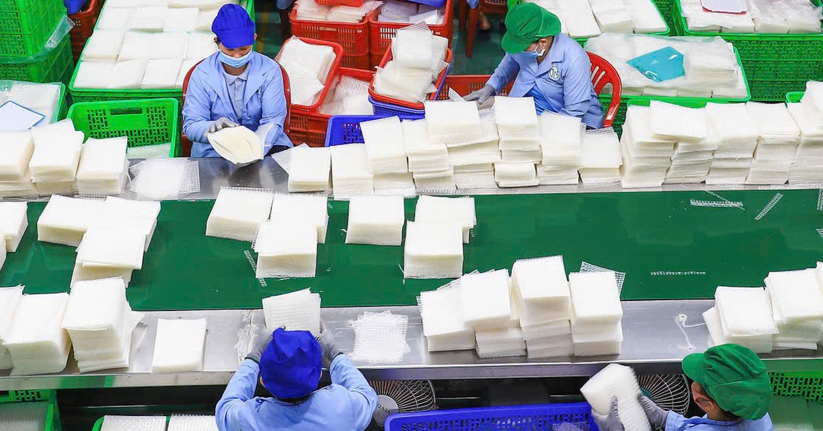 Nhà sản xuất bánh tráng được công nhận Doanh nghiệp khoa học và công nghệ