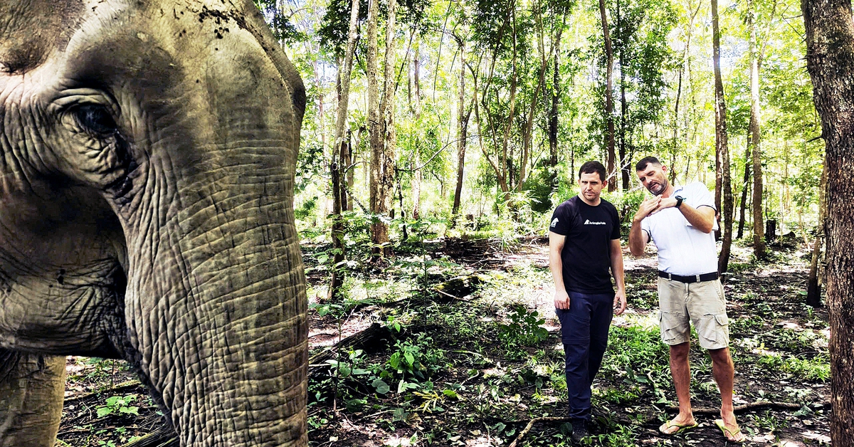 Ông Tây hết lòng vì phúc lợi voi Đắk Lắk