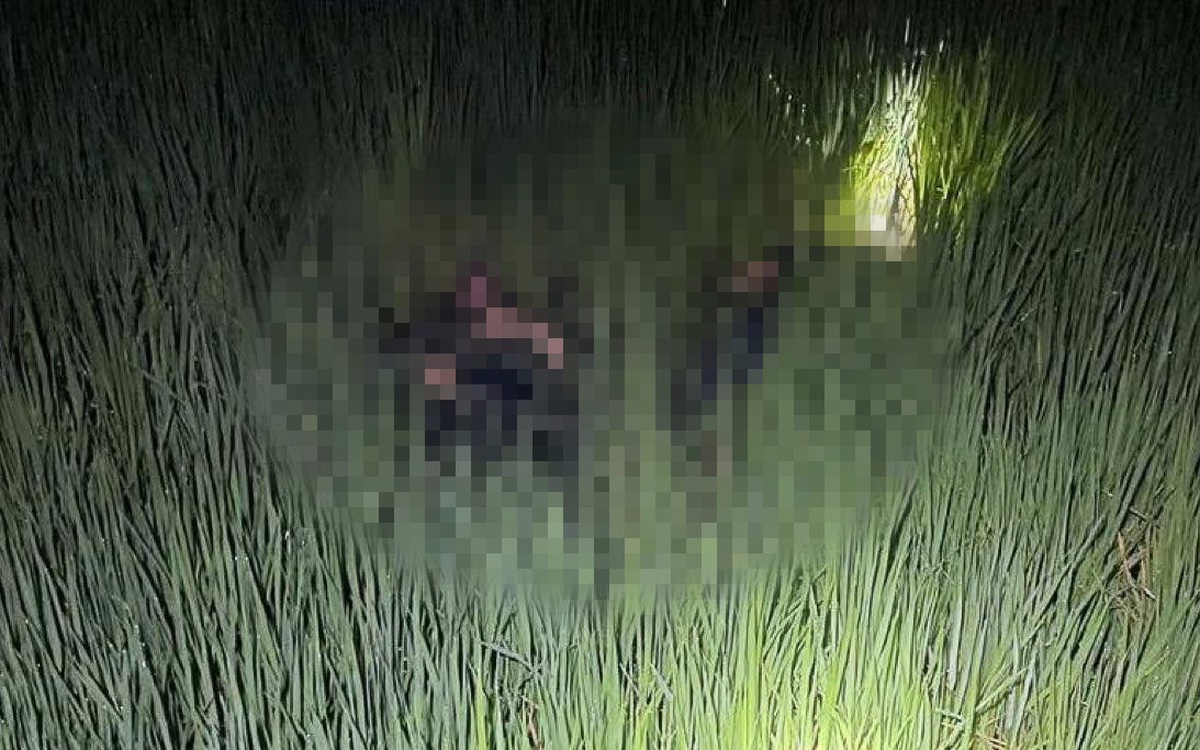 Khởi tố vụ mắc dây điện bẫy chuột trên ruộng lúa làm chết 2 người