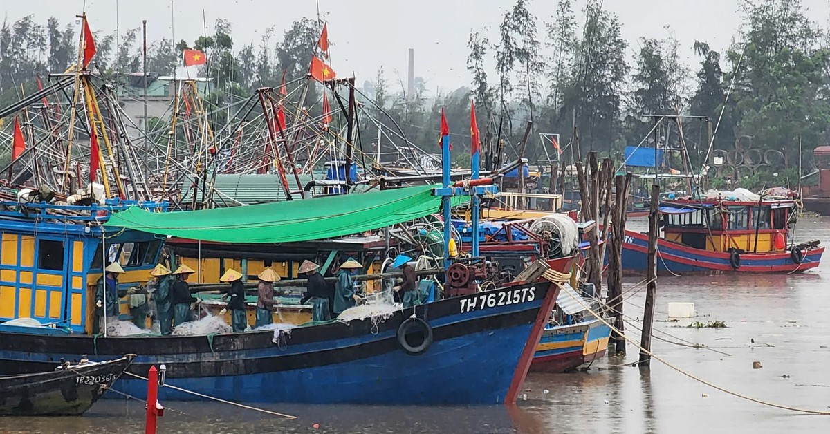 Hưng Yên cấm biển từ 12h ngày 24-9, bằng mọi biện pháp kêu gọi tàu thuyền tránh bão Ragasa