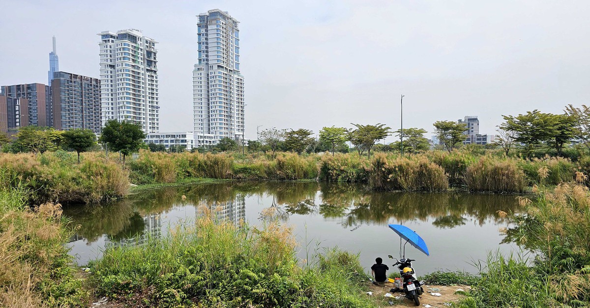 Giá nhà: Có phải 'các anh đang ở trên trời cả rồi'?