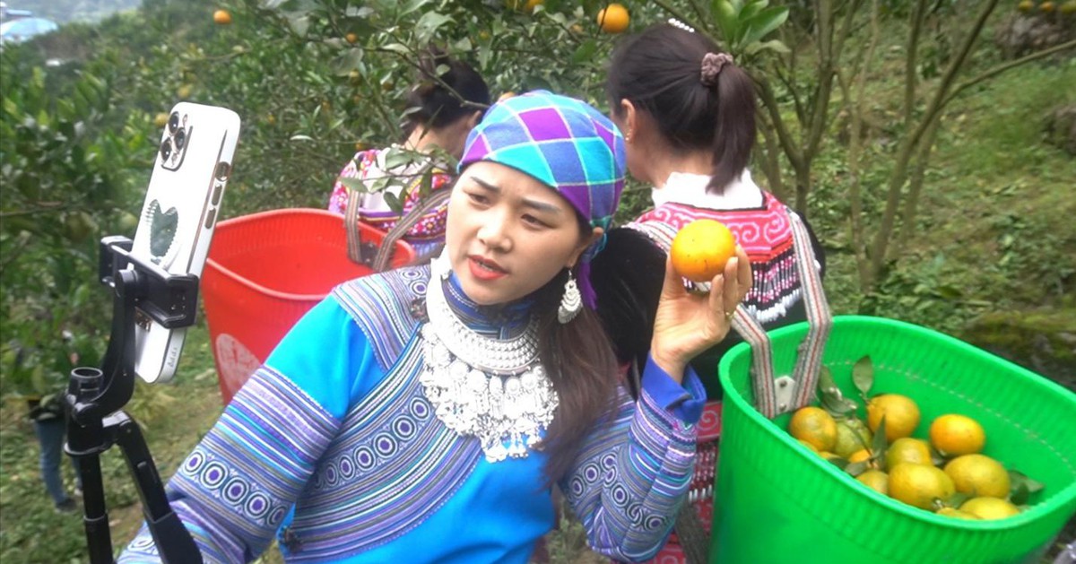 Hợp tác xã điện tử - ‘chìa khóa’ góp phần giúp đồng bào thoát nghèo