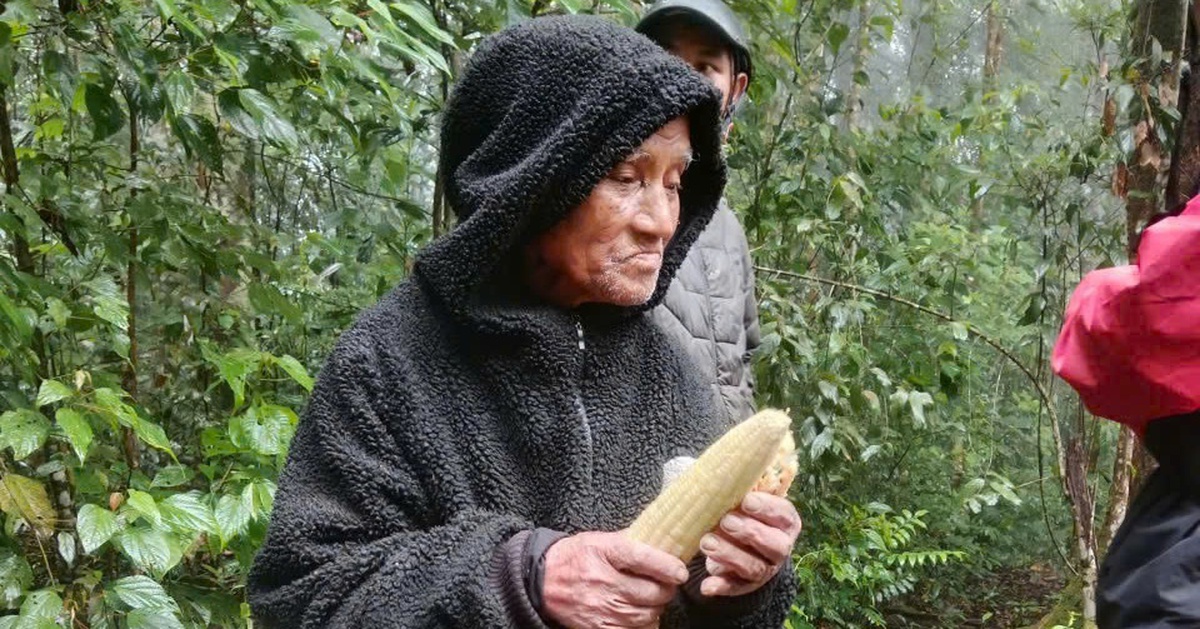 Tìm thấy cụ ông 78 tuổi lạc 7 ngày trong rừng sâu ở Đà Lạt