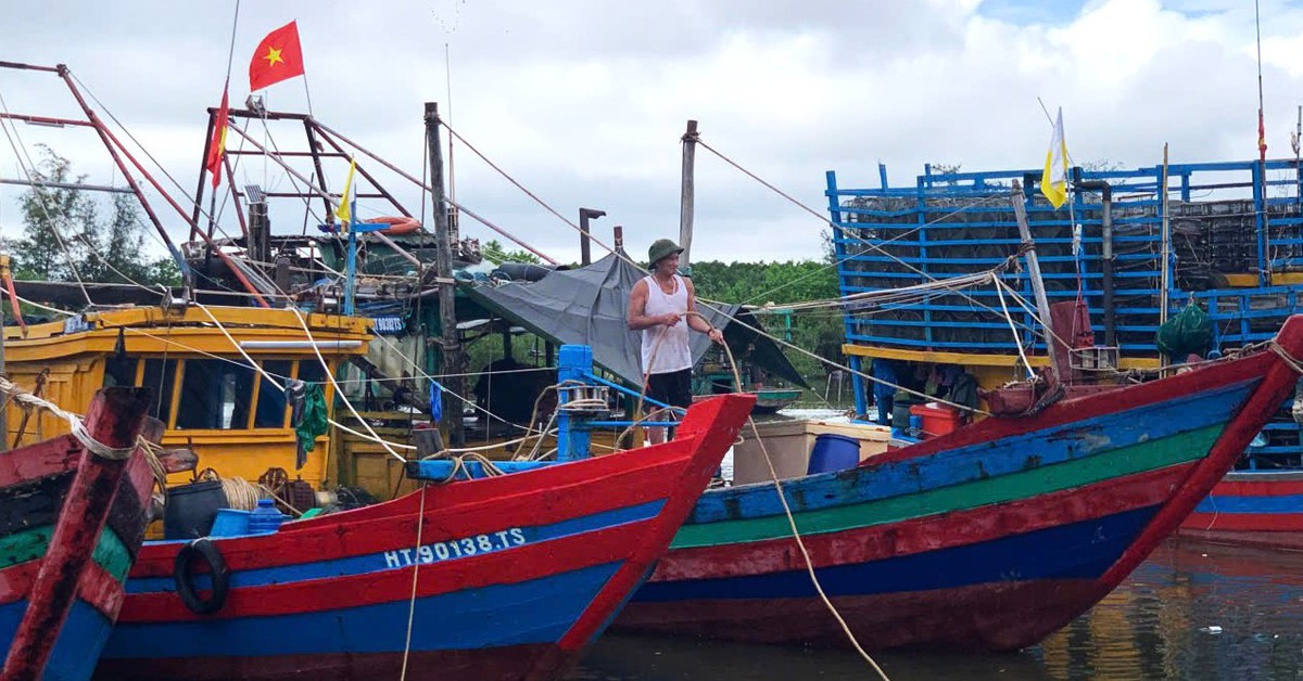 Tàu thuyền tránh bão Bualoi về đậu kín cảng cá