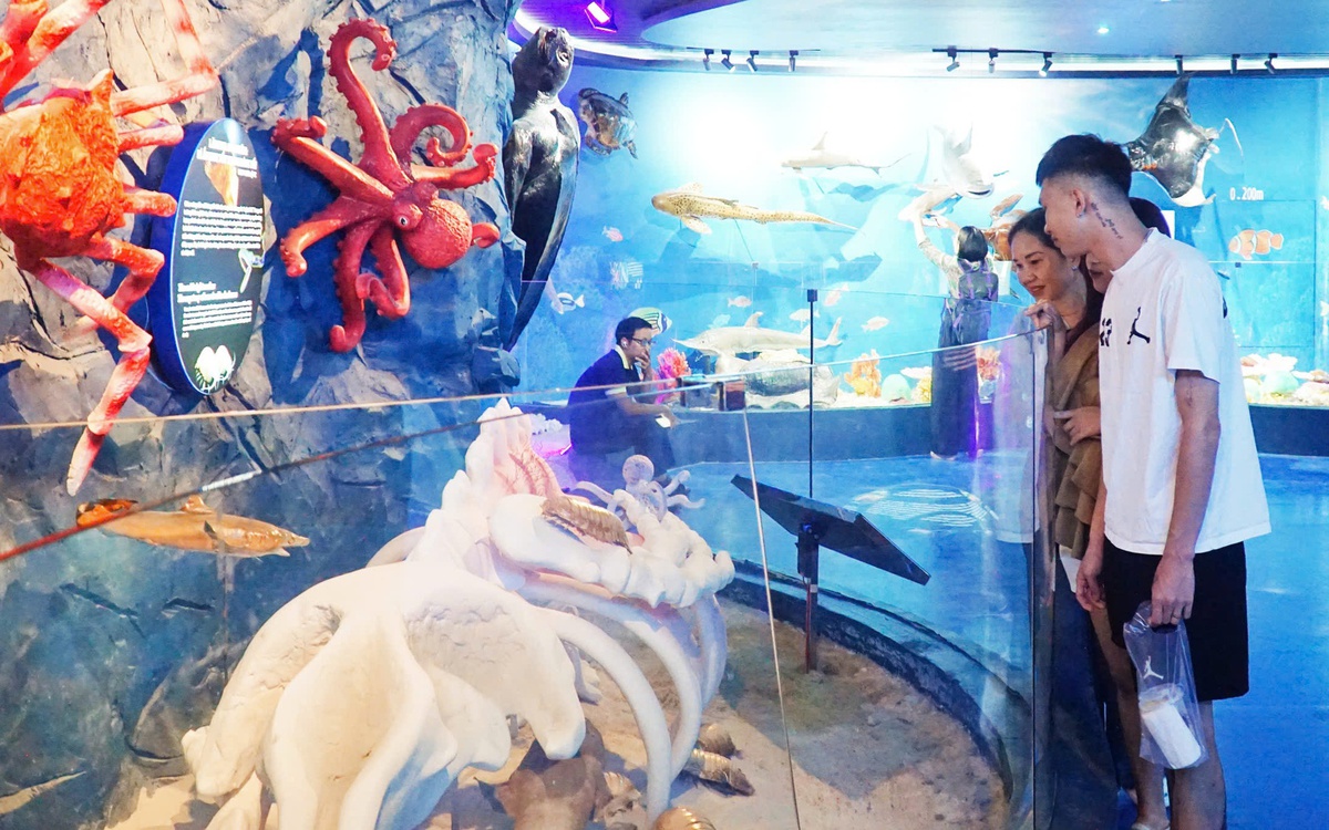 Khám phá không gian sinh vật đại dương dưới độ sâu đến 6.000m ở Nha Trang