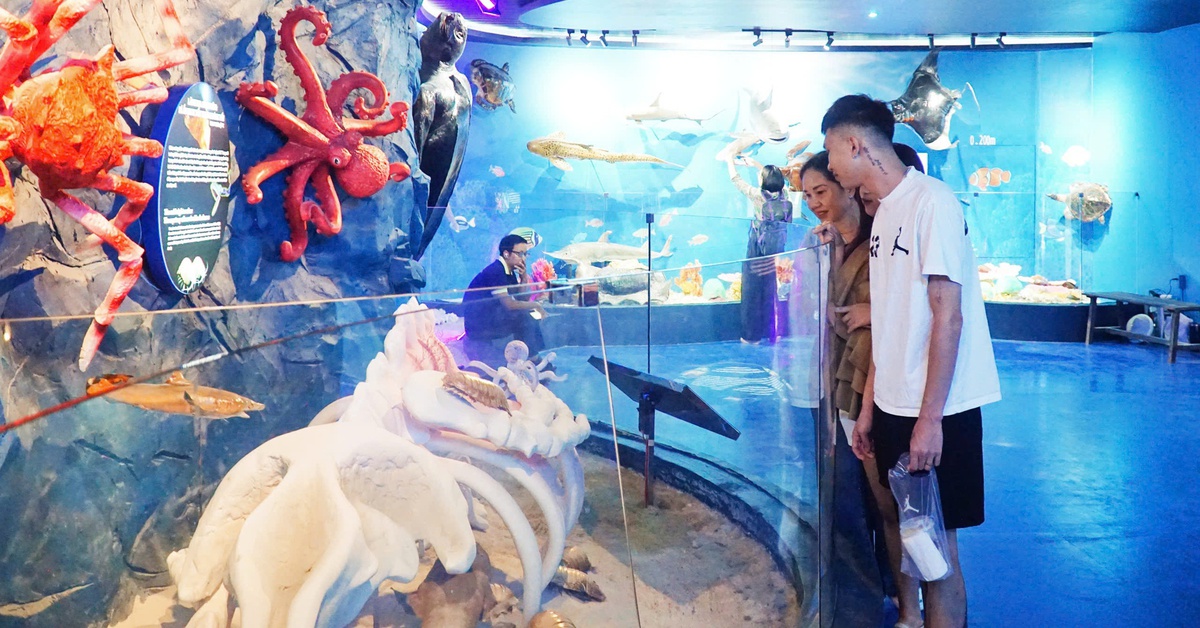 Khám phá không gian sinh vật đại dương dưới độ sâu đến 6.000m ở Nha Trang