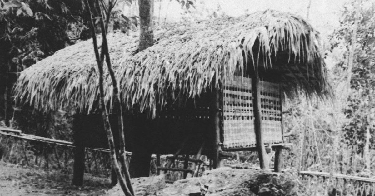 Mật mã Ba Đình - Kỳ 2: Ông Ké ở rừng Tân Trào