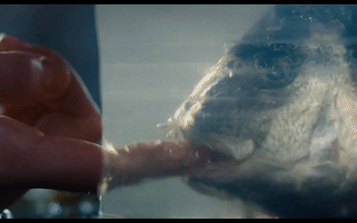 Phim 'Đồi gió hú': Bởi nguyên tác vốn nguyên thủy, tình dục và đầy khổ lạc?