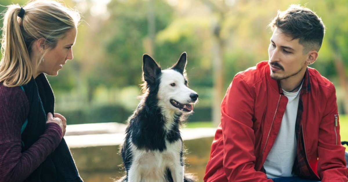 Quan niệm sai lầm phổ biến ở Anh: Thú cưng được xem như trẻ em trong ly hôn