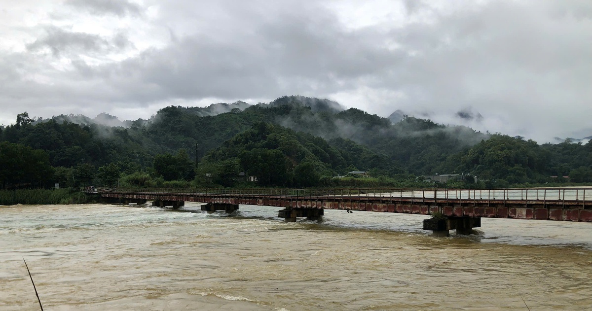 tuoitre.vn