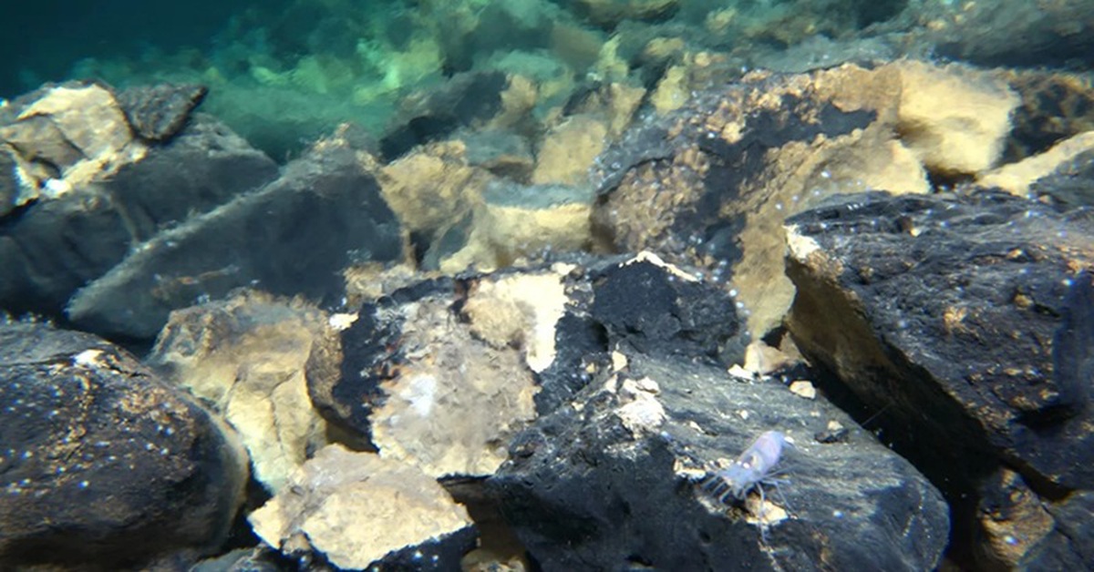 Phát hiện hệ thống ống phun thủy nhiệt khổng lồ dưới Thái Bình Dương