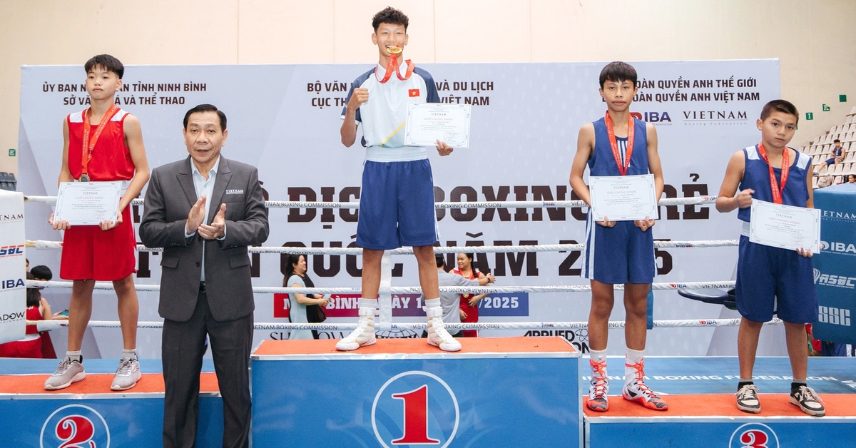 Liên đoàn Quyền anh Việt Nam vẫn hoạt động dù 'mất kết nối' với Chủ tịch Lưu Tú Bảo