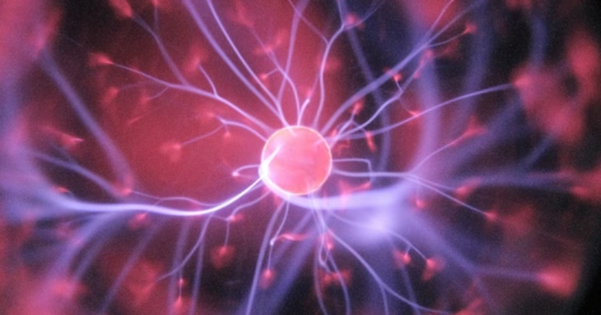 Người trưởng thành vẫn có thể sản sinh tế bào não mới?