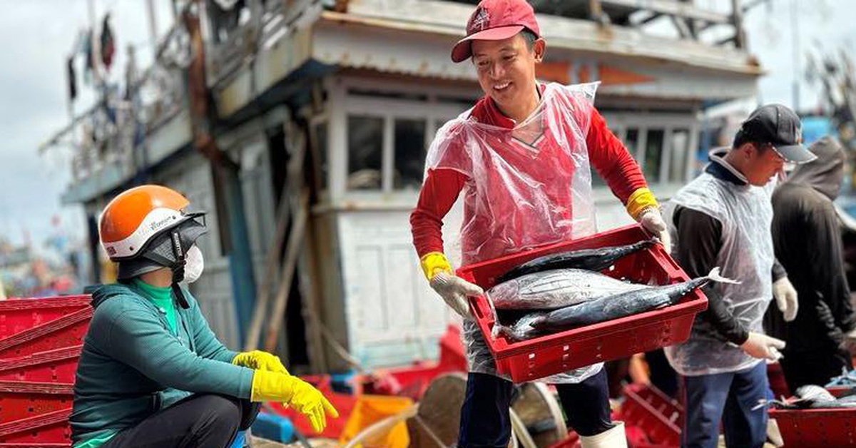 Từ 1-1-2026, 12 nhóm loài thủy sản đánh bắt bằng lưới rê, lưới kéo... không được xuất khẩu vào Mỹ