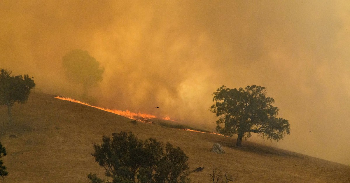 Hình ảnh cháy rừng 'thảm họa' tại bang Victoria, Úc