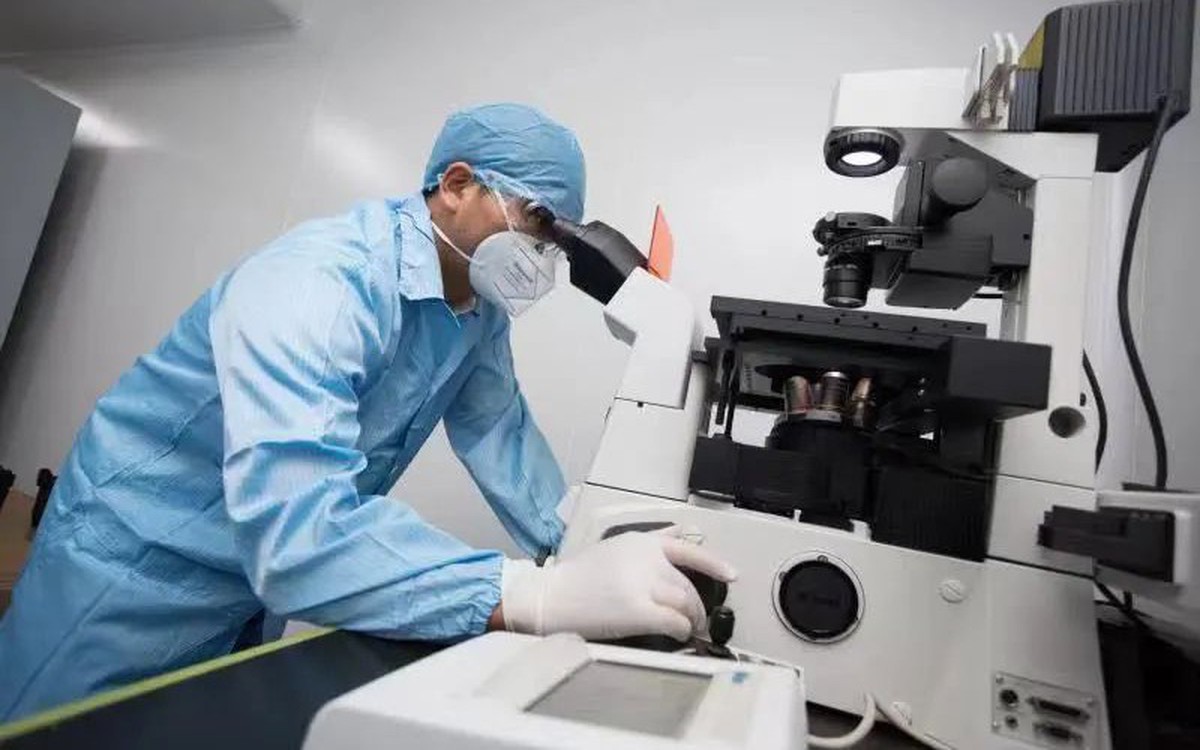 Bản đồ miễn dịch hé lộ điều bất ngờ: Cơ thể người không 'giống nhau' như ta tưởng