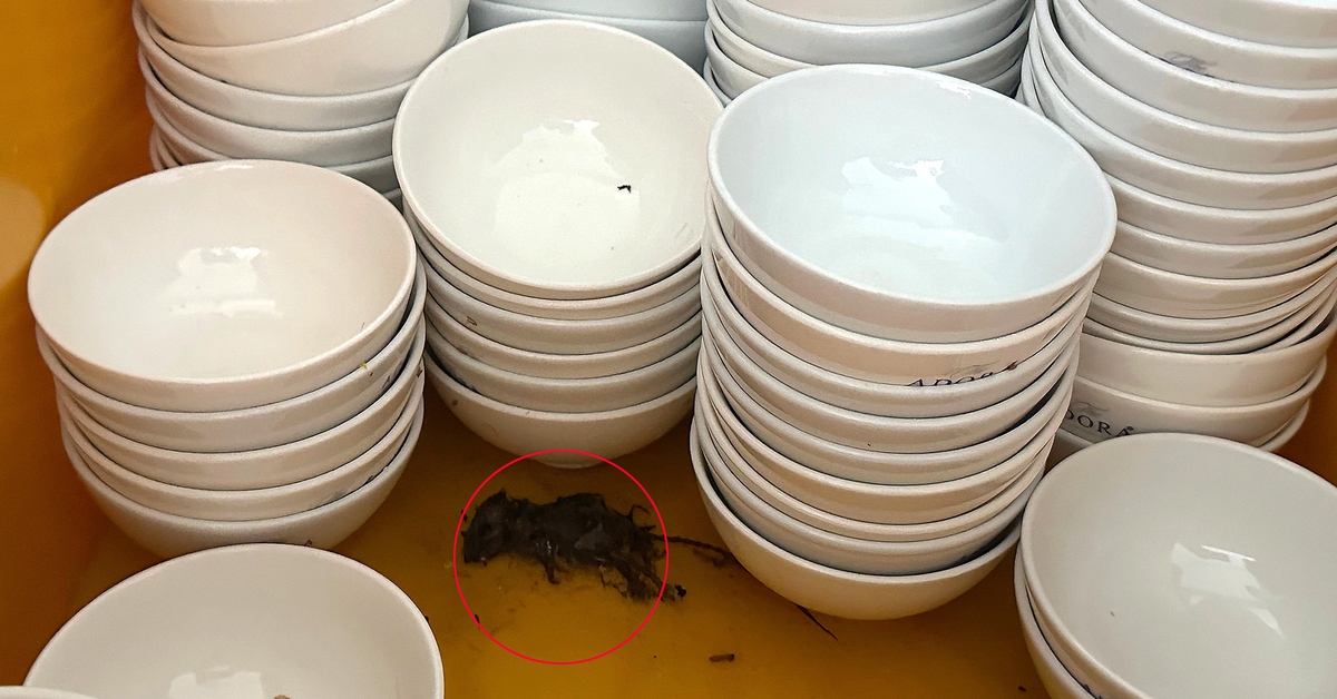 Góc khuất sau những sảnh tiệc hào nhoáng