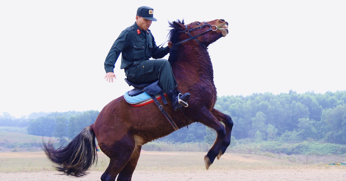 Đầu năm ngựa, 'xông đất' Đoàn Cảnh sát cơ động kỵ binh