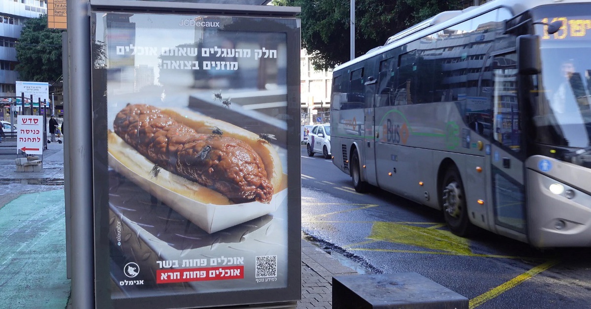 Israel dấy lên tranh cãi về cách nuôi gia súc đã bị châu Âu cấm hoàn toàn