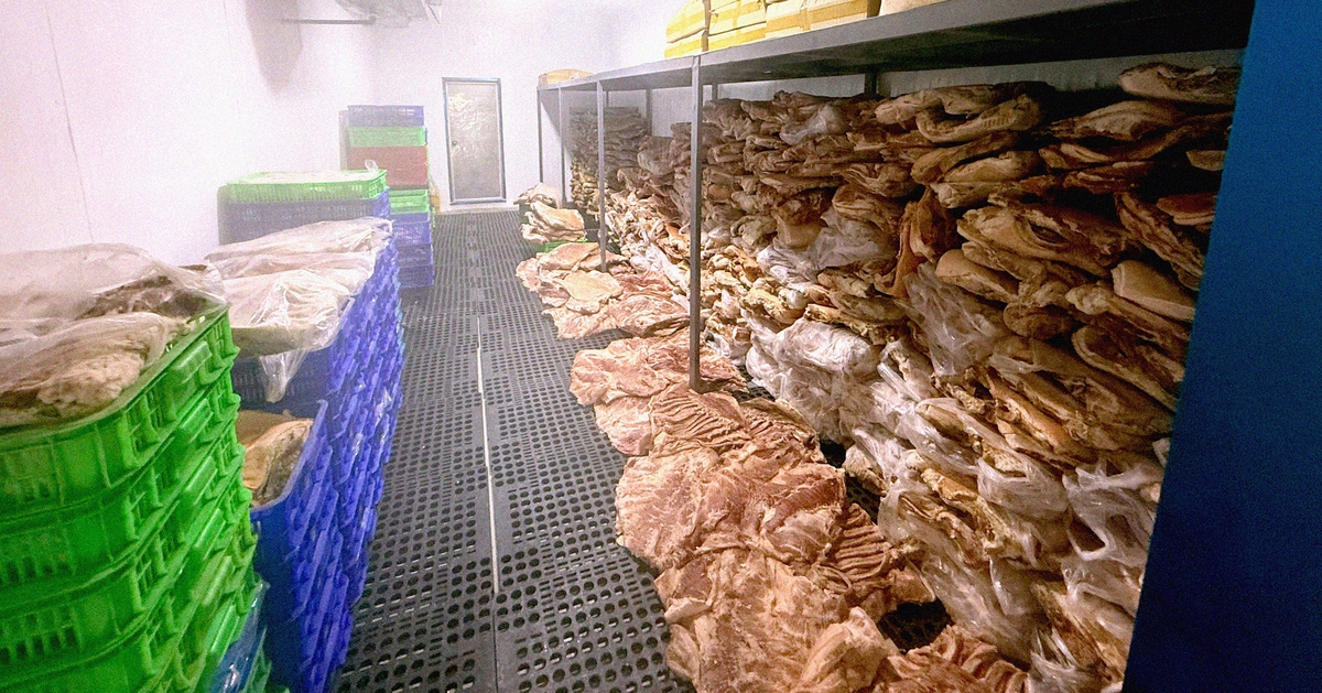 TP.HCM: Phát hiện 50 tấn thịt nhím, nai, đà điểu… làm giả từ thịt heo