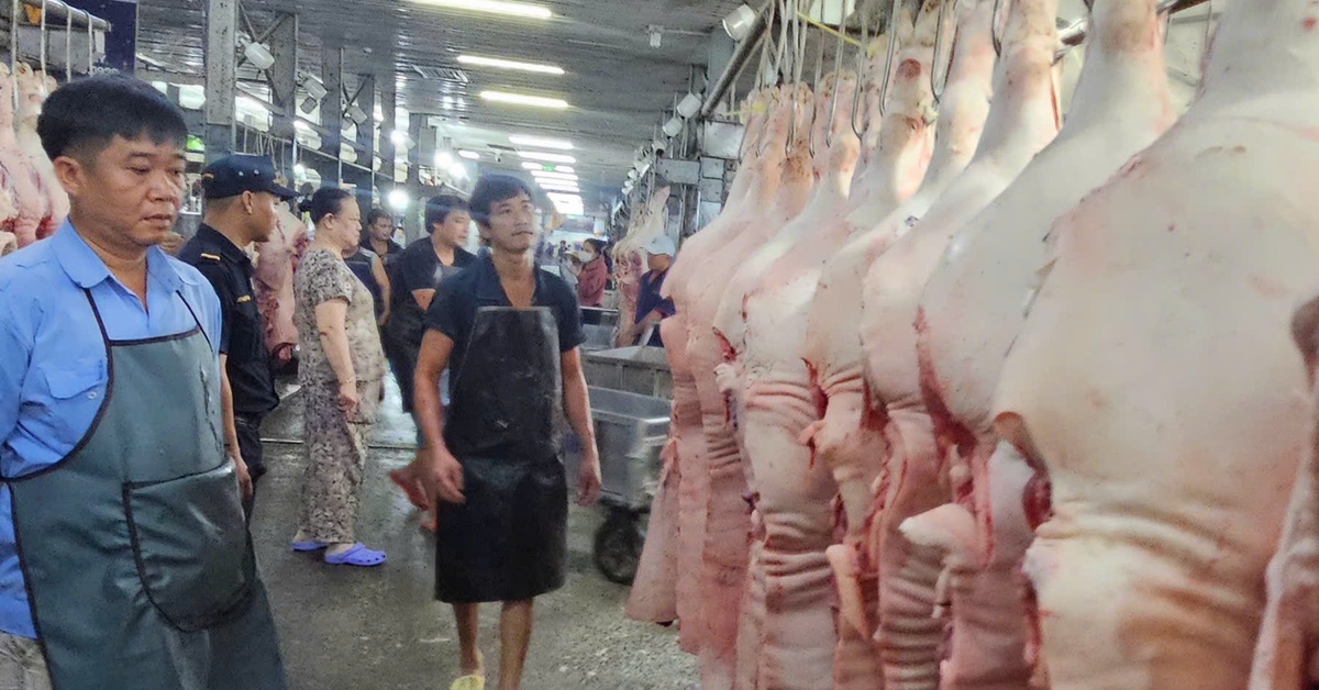 Tăng liên tục, giá heo hơi ở đỉnh 77.000 đồng/kg, giá dịp Tết sẽ thế nào?