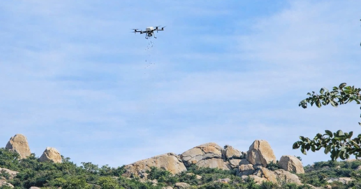 Gieo mầm xanh giữa rừng sa mạc bằng máy bay không người lái