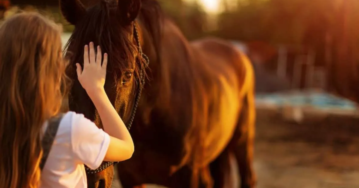 Phát hiện bất ngờ: Ngựa có thể 'ngửi' thấy nỗi sợ của con người