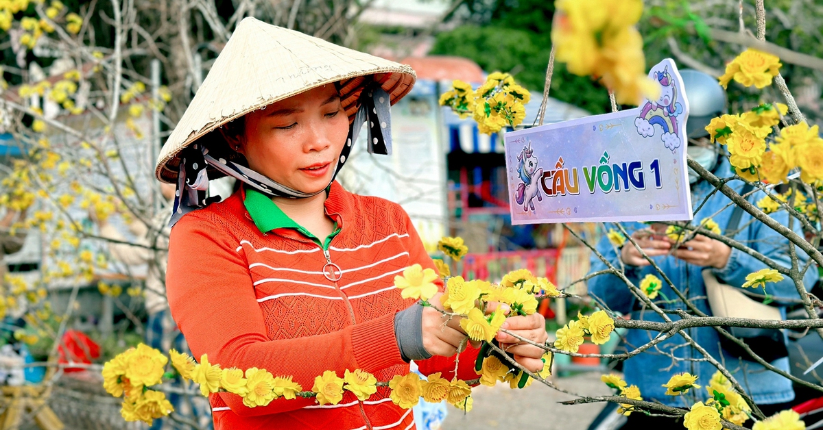 Trường mầm non vui như hội với hàng mai, anh đào rực rỡ đón Tết