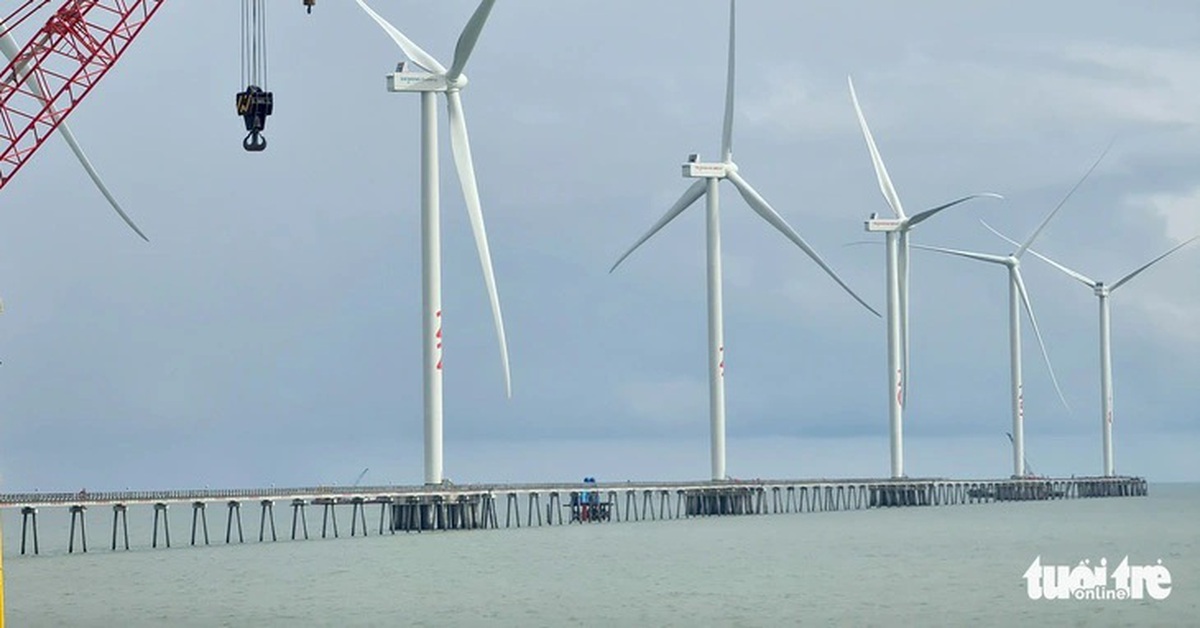 Giao hàng chục ngàn héc ta mặt biển cho hai tập đoàn EVN, PVN khảo sát điện gió