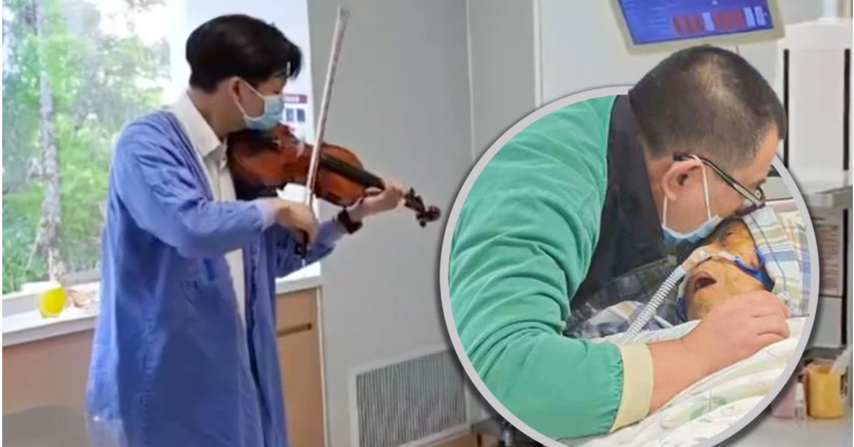 Người con mời nghệ sĩ violin vào phòng hồi sức tích cực kéo khúc nhạc cuối tiễn mẹ