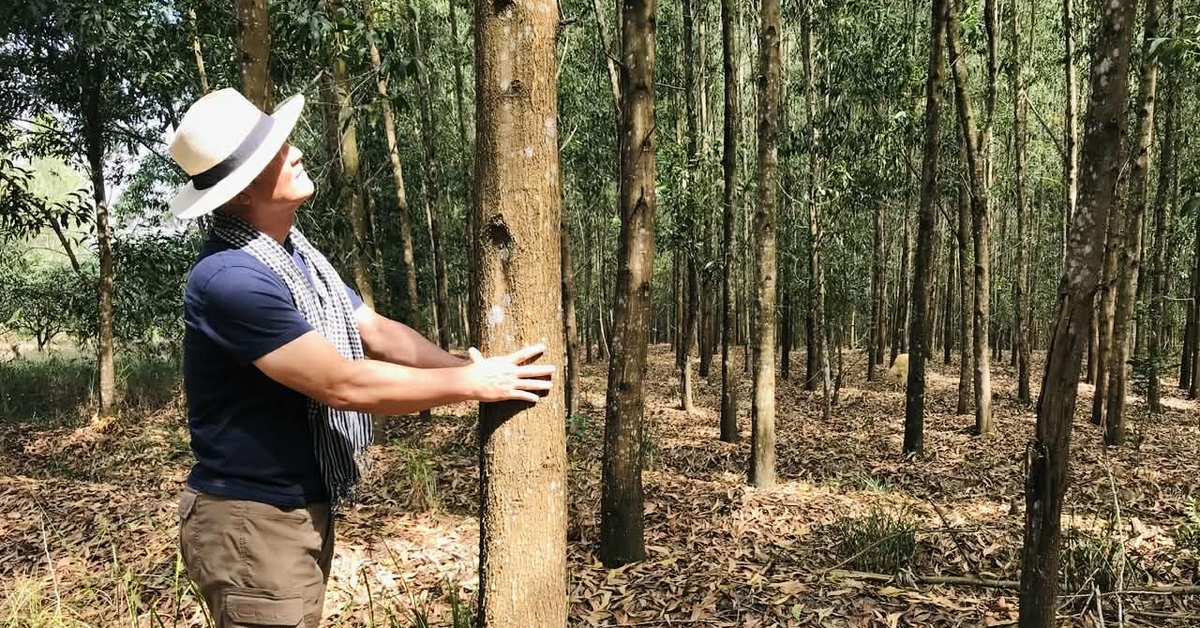 Hãy chăm một cái cây bằng tình yêu