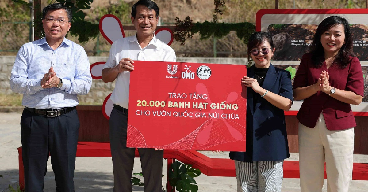 Hành trình một triệu cây: Từ Núi Chúa đến khắp Việt Nam