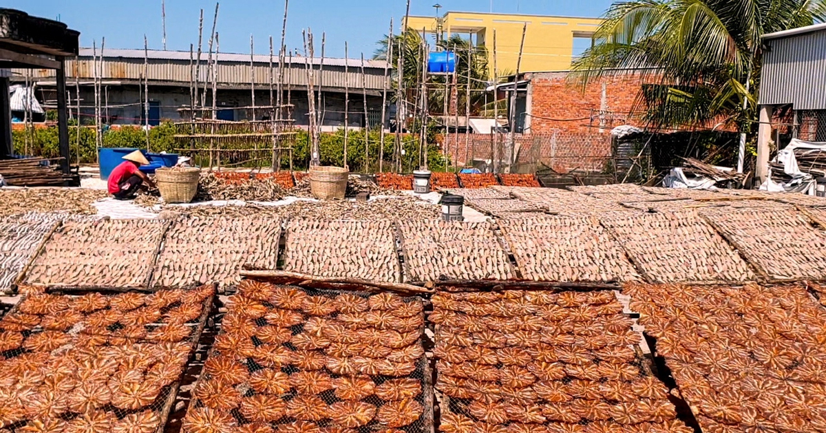 Nghề khô xứ biển vào mùa Tết