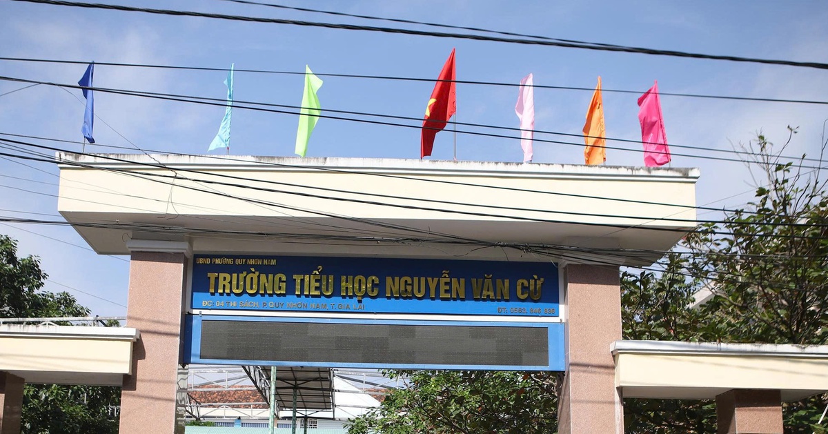 Đình chỉ cô giáo nghi sửa gần 20 bài thi học sinh từ đúng thành... sai