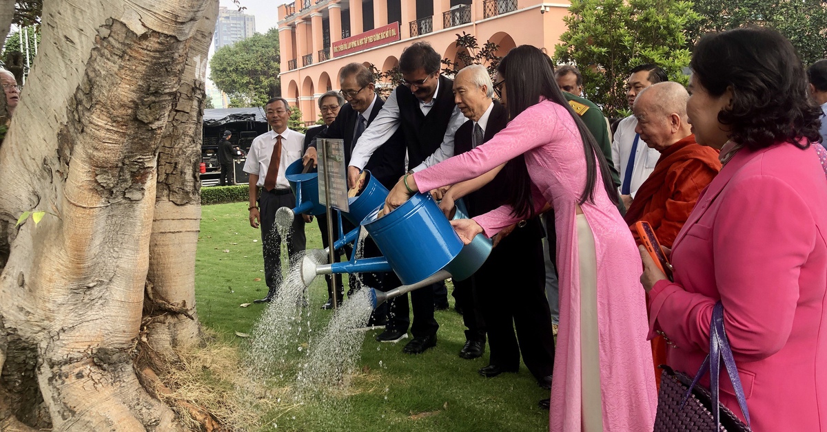 Cây bồ đề tình hữu nghị Việt - Ấn tròn 35 năm tuổi