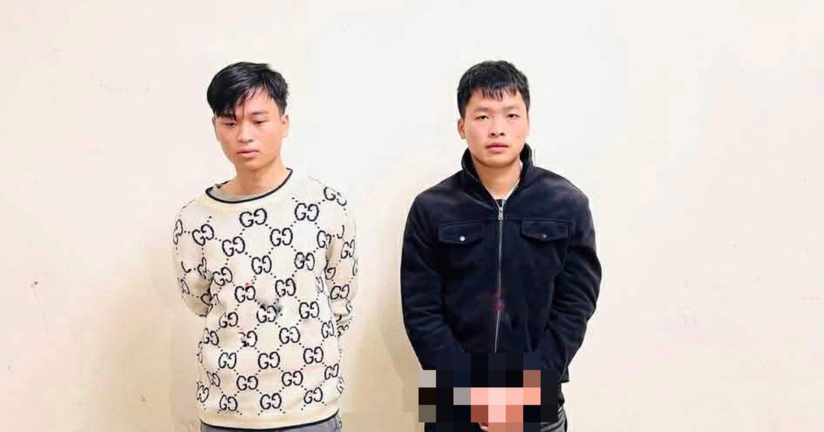 Nam sinh viên đại học cùng đồng phạm bị bắt vì cướp tiệm vàng tại Ninh Bình