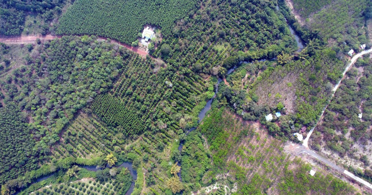 Đồng Nai làm 13km đường trên cao, xuyên rừng Mã Đà