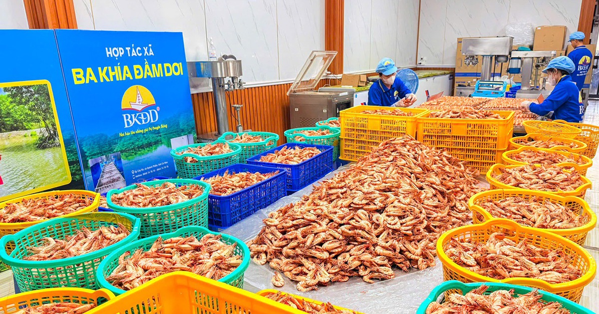 Đặc sản OCOP lên ngôi dịp Tết