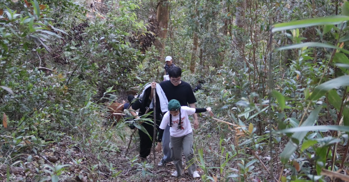 Khi mầm xanh viết tiếp bản tình ca của đất