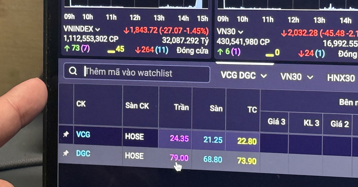 Vì sao cổ phiếu Vinaconex và Hóa chất Đức Giang cùng nằm sàn phiên 26-1?