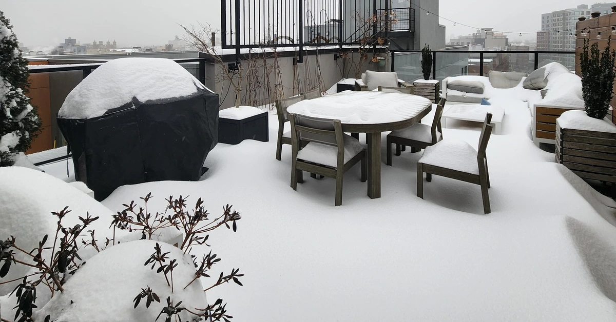 Người Việt ở New York nghĩ về Tết quê nhà giữa bão tuyết lịch sử