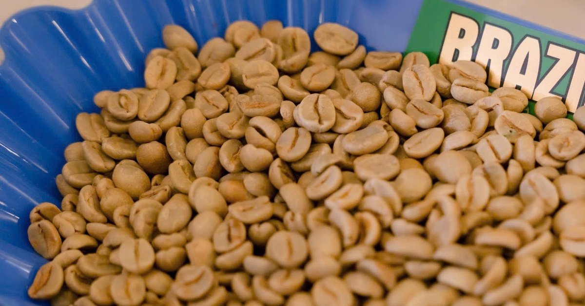 Giá cà phê duy trì đà tăng, nông dân sẽ lại lãi lớn?