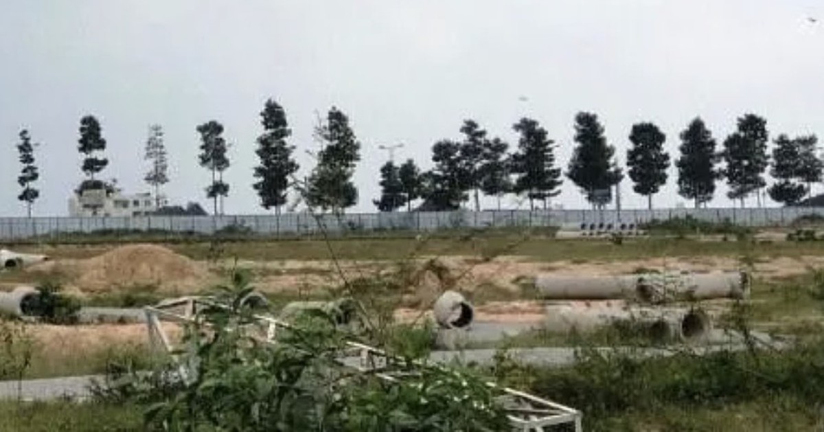 Gia Lai cảnh báo cơn sốt đất ảo ở vùng điện gió