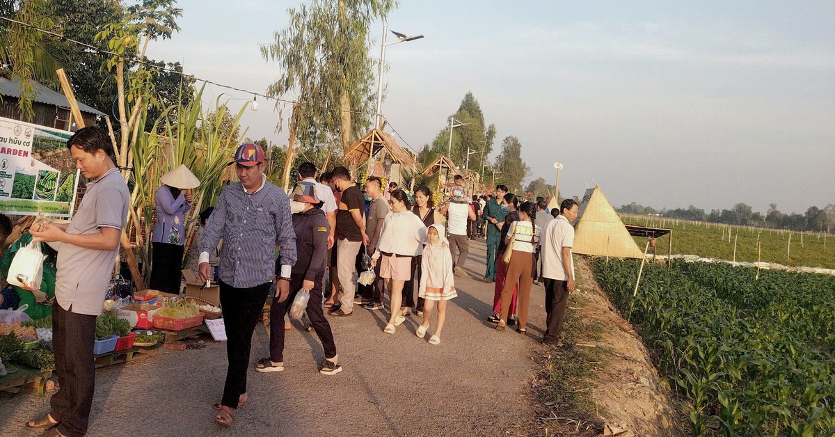 Du lịch cộng đồng gắn với phát huy giá trị lịch sử địa phương