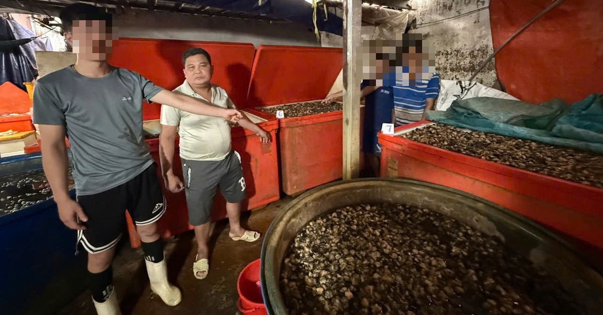Bắt quả tang cơ sở ngâm ốc bươu với 'thủy tinh lỏng', đã tiêu thụ hàng ngàn tấn