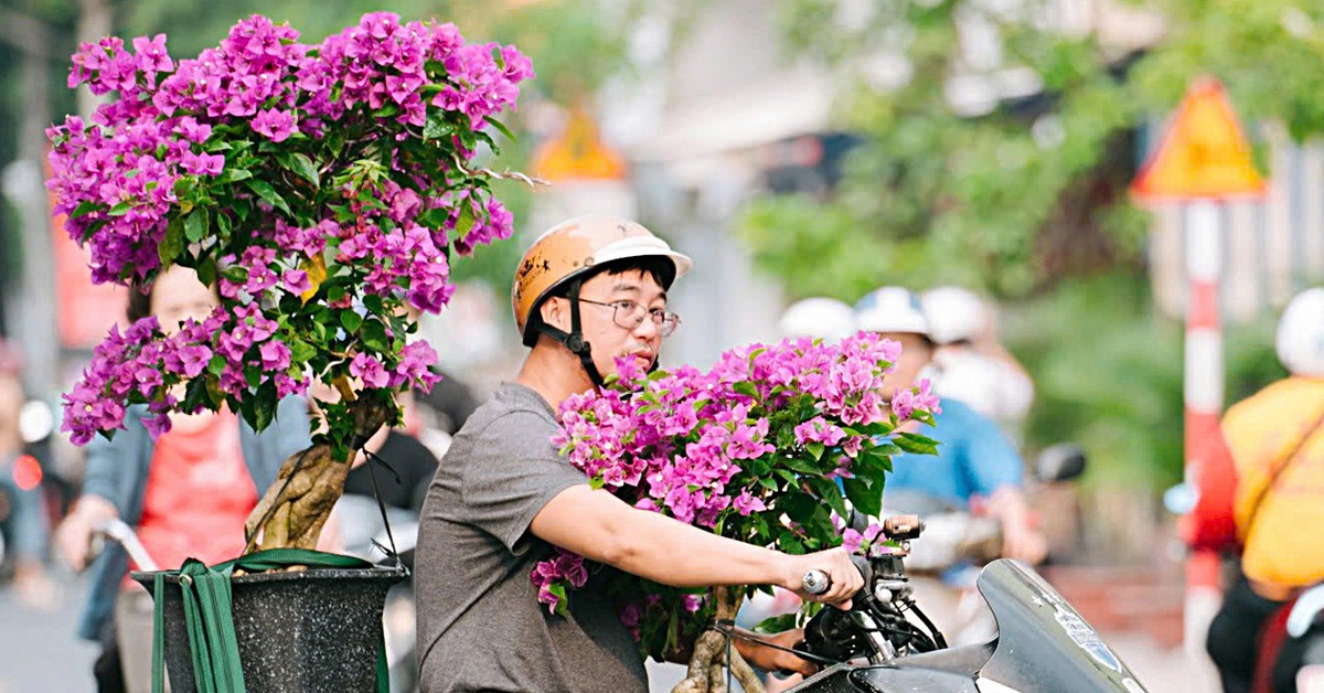 Thời tiết hôm nay 28-1: Bắc Bộ vẫn mưa rét, cao nguyên Trung Bộ và Nam Bộ ngày nắng